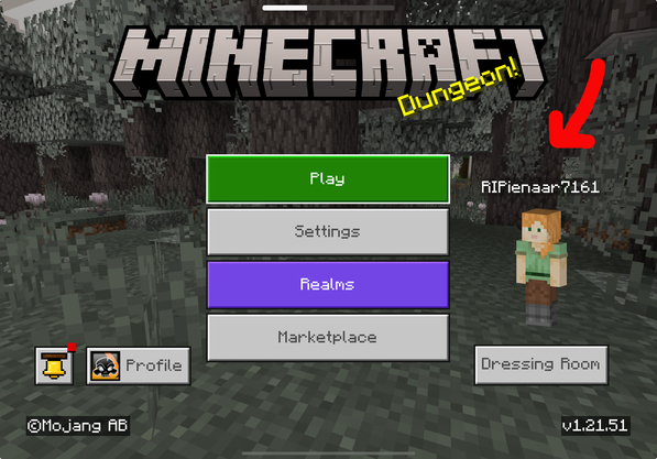 Gamer Tag